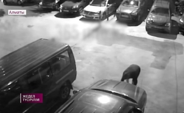Алматыда көліктің нөмірін ұрлап, өтемақы талап еткен күдікті ұсталды