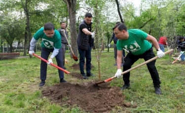 Алматы әкімі Alma Qala экологиялық акциясы аясында ағаш отырғызуға қатысты