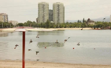 Алматы әкімі Сайран көліне қатысты мәселенің қалай шешілетінін айтты