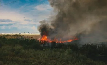 Елорда маңындағы қамыс өртін сөндіруге тікұшақ жұмылдырылды