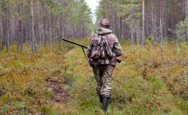 СҚО-да аңшы орманда жидек теріп жүрген әйелді абайсызда атып өлтірді