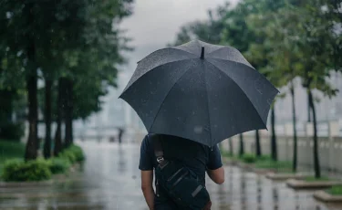 Еліміздің басым бөлігінде жаңбыр жауады