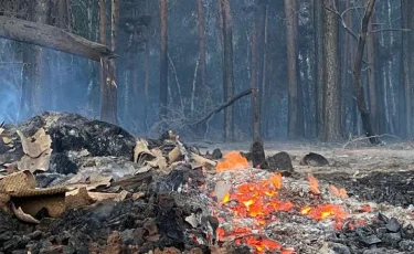 Қостанай облысында төтенше жағдай жариялануы мүмкін