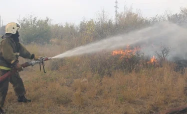 Горят леса и степи: в Карагандинской области за сутки возникло 17 пожаров