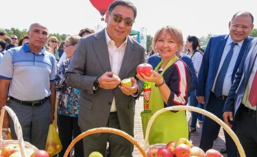 «AЛМА FEST» фестиваліне келген көпшілікке 100 тонна алма ұсынылды