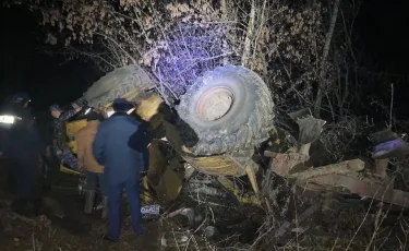 Жетісу облысында трактор аударылып, бір адам қайтыс болды