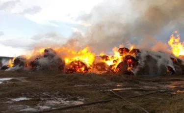 Павлодар облысында 140 гектар аумақтың шөбі өртеніп жатыр