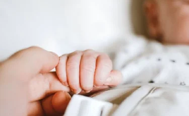 Ақтөбе облысында қоқыстан шақалақтың денесі табылды