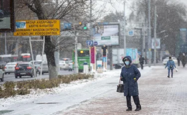 Туман, гололед и метель ожидаются в Казахстане