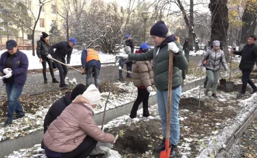 Благоухающий мегаполис: более 30 саженцев липы высадили в Алматы