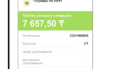 Жерге түкірген Ерлан Саиров айыппұл төледі