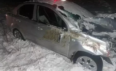 СҚО-да жеңіл көлік ат-шананы соғып, бір адам оқиға орнында мерт болды