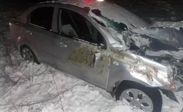 СҚО-да жеңіл көлік ат-шананы соғып, бір адам оқиға орнында мерт болды