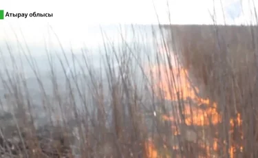 Атыраудағы қамыс өрті бүгін, ертең толық сөндіріледі - Юрий Ильин