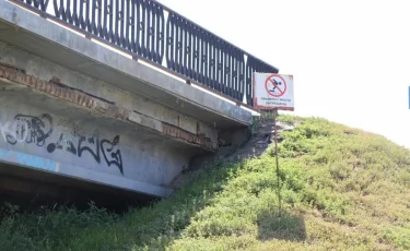 Хайп не прошел: прыжок с моста в Туркестанской области закончился в полиции