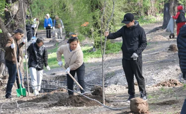 Алматыдағы жалпықалалық сенбілікте қанша ағаш отырғызылды