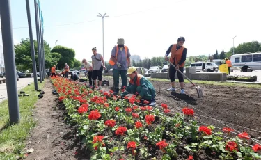 Алматыда декоративті гүлдерді көгалдандыру басталды