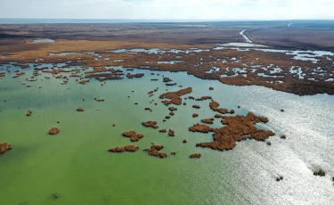 На Земле стало меньше воды: за последние 30 лет обмельчало более половины озёр