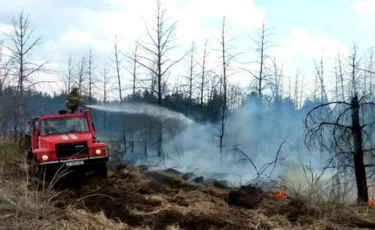 Абай облысындағы өрт: елдімекендерге ешқандай қауіп жоқ