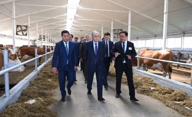 Тоқаев: СҚО-да мал шаруашылығы өнімдерінің өндіріс көлемін арттыруға мол мүмкіндік бар