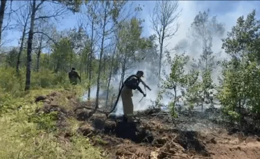 Абай облысындағы тілсіз жаумен күрес әлі де жалғасып жатыр