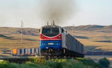 Не там паслись: грузовой поезд сбил более двух десятков коз и овец