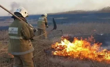 Каспий жағалауында қамыс өртеніп жатыр