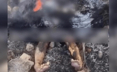Жетісу облысында ер адам әйелді зорлап, артынша өртеп жіберген