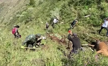 Жамбыл облысында найзағай түсіп, бір үйір жылқы қырылып қалды  