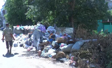 Зловоние и смрад: жители Петропавловска утопают в мусоре