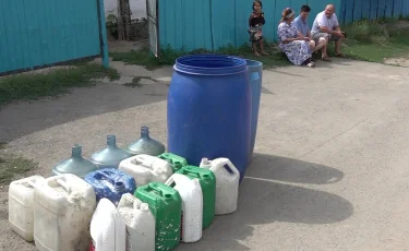 Село без воды: домашние животные с трудом выдерживают аномальную жару