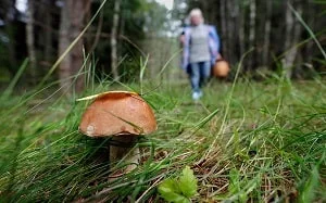 Женщину с тремя детьми спасли в горах Алматы