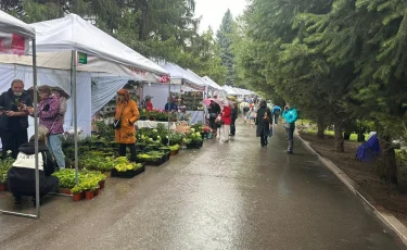 Алматыда «Almaty Garden Show»  фестивалі өтіп жатыр