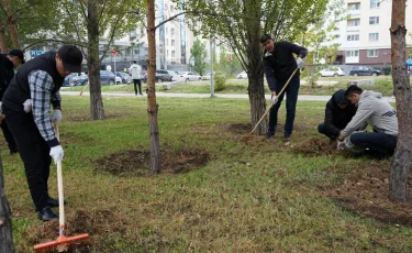 Прокурорлар жалпықалалық сенбілікке қатысты