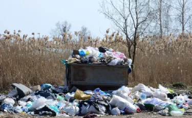 Удар по карману: в Казахстане увеличат штрафы за выброшенный в неположенном месте мусор