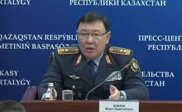 Кто виноват: подозреваемого в сексуальном насилии над первоклассником еще нет