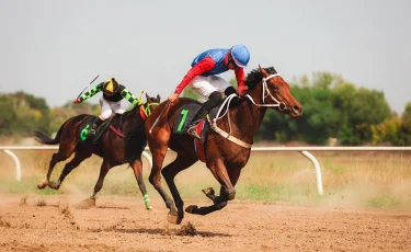 Алматыда бәйгеден Қазақстан чемпионаты өтіп жатыр