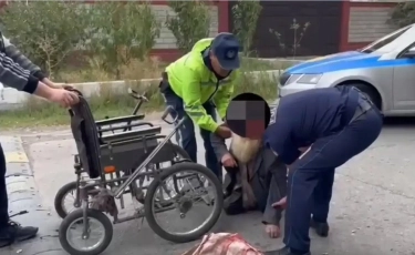 Хатико арбадан құлаған қожайынын полицейлерге тапсырды