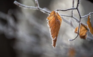 Бүгін еліміздің басым бөлігінде жаңбыр жауады 