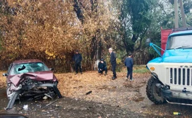 Жетісу облысында көлік апатынан 9 адам зардап шекті