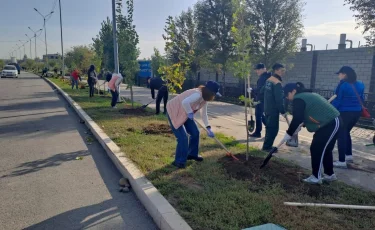 Жаңа Қазақстан: в Алматы по инициативе эко-активистов прошел общегородской субботник 