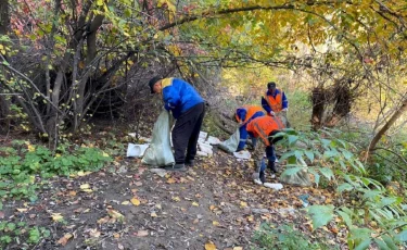 Баладан зейнеткерге дейін: 34 мыңнан астам алматылық жалпықалалық сенбілікке шықты