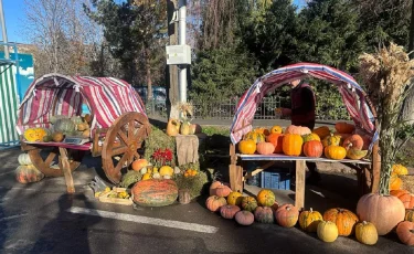 Сельскохозяйственная ярмарка состоится в Алматы