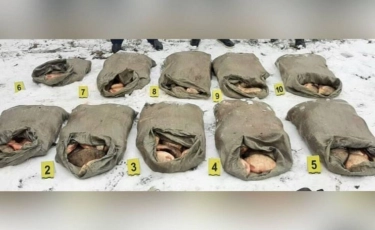 Екібастұз тұрғынынан мөңке балық тәркіленді 