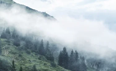 Жел, тұман: бірнеше өңірде қолайсыз ауа райы болады