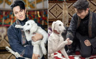 Президент Димашқа тазының күшігін сыйлады