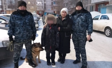 Решил погулять по городу: пропавшего 9-летнего мальчика нашла служебная собака
