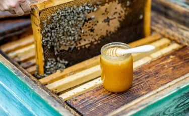 Бал ешқашан бұзылмайтыны рас па   