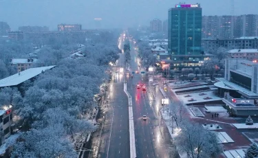 Урбанист: Алматының жаңа ЕТЖ-да өмір сүруге қажетті барлық жағдайы бар орамдық құрылыс қарастырылған 