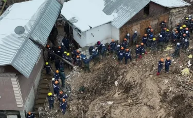 Лай көшкіні: Медеу аудандық полициясы қылмыстық іс қозғады